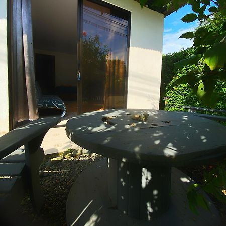 Anluka Estudio Puerto Jimenez Exterior photo